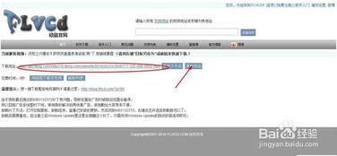 如何提取网页中的视频,技术解析与实战指南